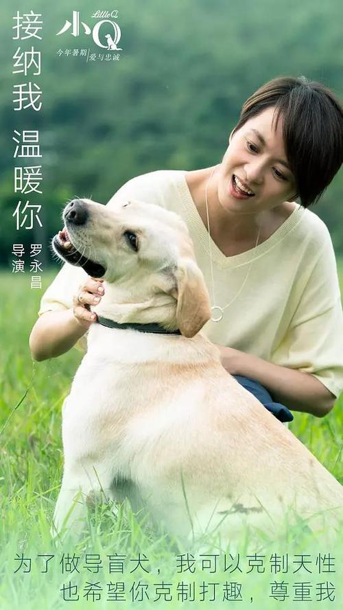 定制高仿米尔萨普斯学院文凭毕业证